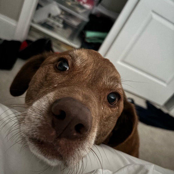 Meet your Posher, Jim - Picture 1 of 1